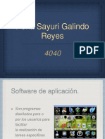 Software de Aplicación.