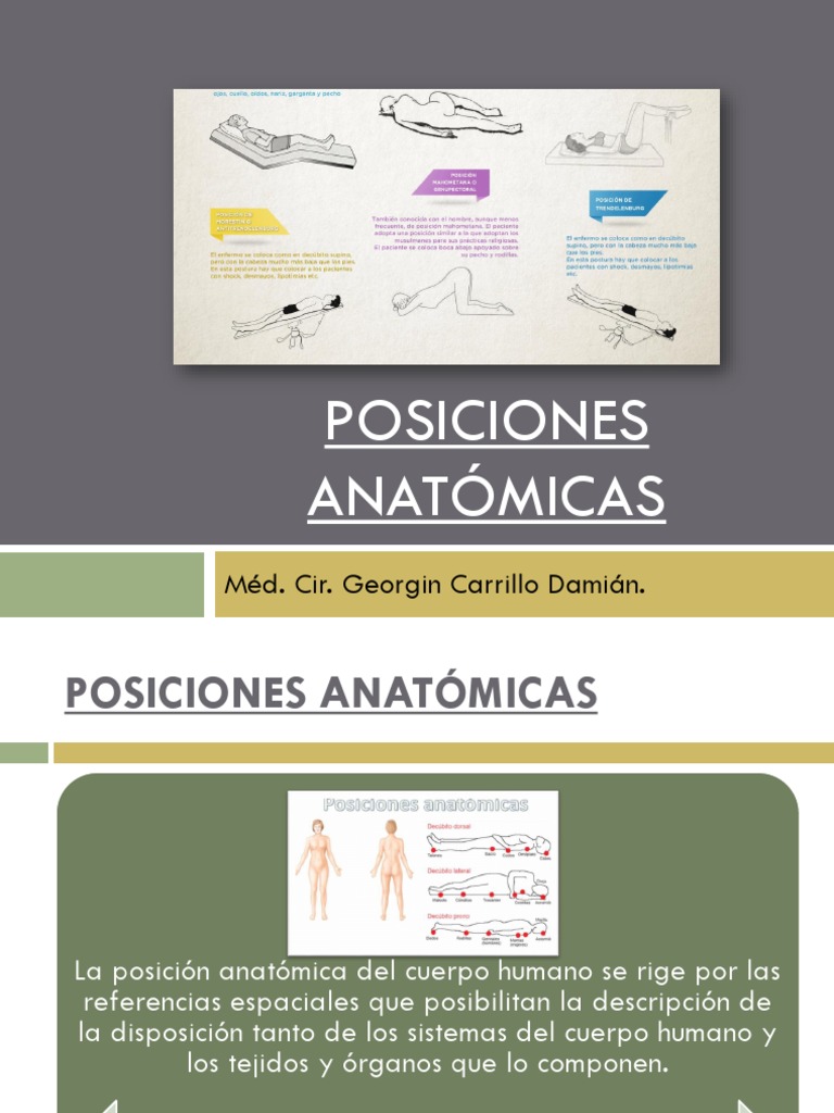 Posiciones Anatómicas en Medicina | PDF | Términos anatómicos de ...
