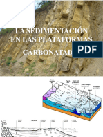 Plataformas carbonatadas