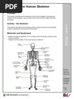 Skeleton 1 PDF