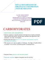 Digestion & Metabolism of Carbohydrate, Fat and Protein in Non-Ruminants