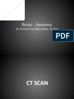 Brain Anatomy - Dr. Richard Yan Marvellini, SpRad