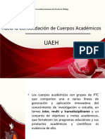 Cuerpos Acadeemicos_CUMex.pptx