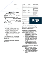 Cognitive Development of Infants Structure and Function