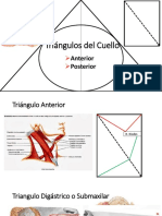 tringulosdelcuello-150515011717-lva1-app6891.pdf