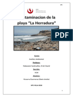 Analisis Ambiental Problema La Herradura