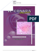 VetMed7169-a3bcb9ad42fullabstract.pdf