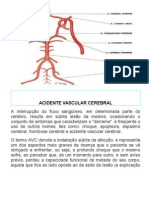 Anatomia Do Sistema Nervoso