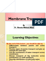 lect 2 membrane transport.pptx