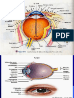 Semiologia Ojos