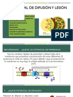 SEMINARIO 4 Con Graficas