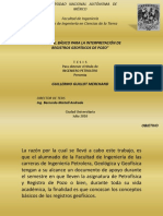 96207362-Interpretacion-de-Registros-Geofisicos-de-Pozo.pdf