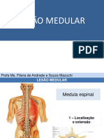 LESÃO+MEDULAR+parte+1