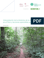 Interpretacion de La Dinamica de La Deforestacion en El Peru PDF