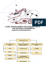 Clase 5 Tejidos Conectivospropiamente Tales y Especializados