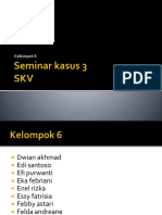 SKV-seminar 3