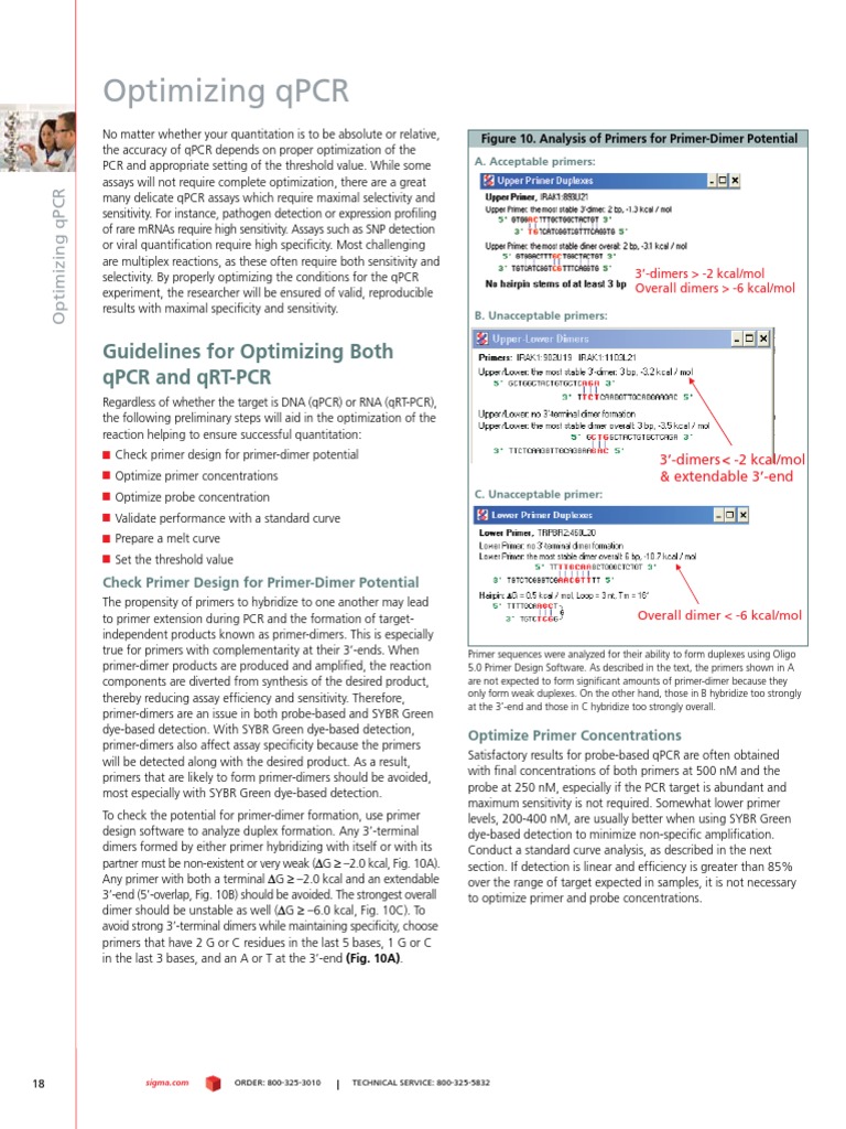 Optimizing QPCR: Guidelines For Optimizing Both QPCR and QRT-PCR | PDF ...