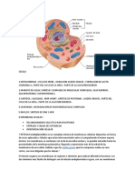01.Celula y Sus Partes