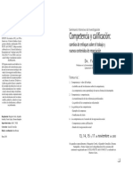 Lichtenberg Competencia y Calificacion