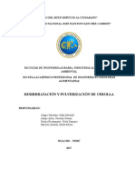 DESHIDRATACIÓN-Y-PULVERIZACIÓN-DE-CEBOLLA (1).docx