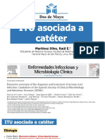 ITU Asociada A Cateter