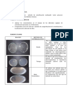 Pruebas de Esterilización Informe