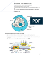 Capítulo Viii. Núcleo Celular