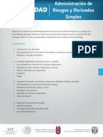 Administracion de Riesgos y Derivados Simples PDF