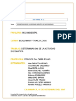 Informe II