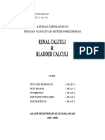 Renal Calculli