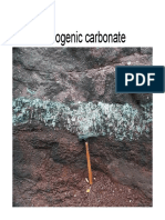 Pedogenic Carbonates