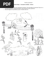 Primavara Fisa Cunoasterea Mediului