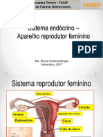 Sistema Endócrino - Aparelho Reprodutor