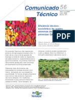 Eficiência de sistemas de produção de pimentas Capsicum