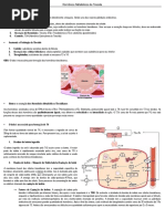 Fisiologia Da Tireoide-ok
