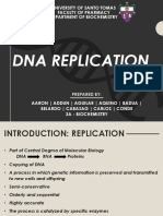 Bioinfo Reporting g1 Replication