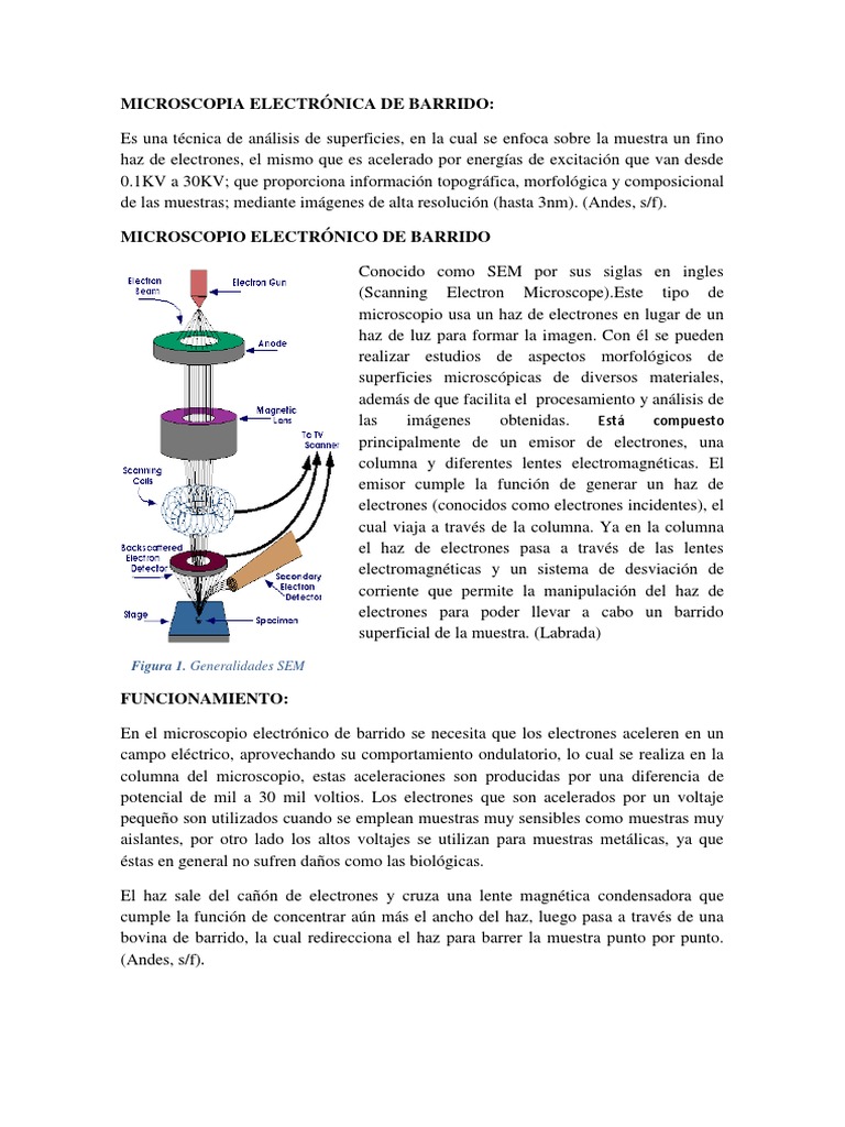 Microscopia Electrónica De Barrido Pdf Microscópio Electrónico