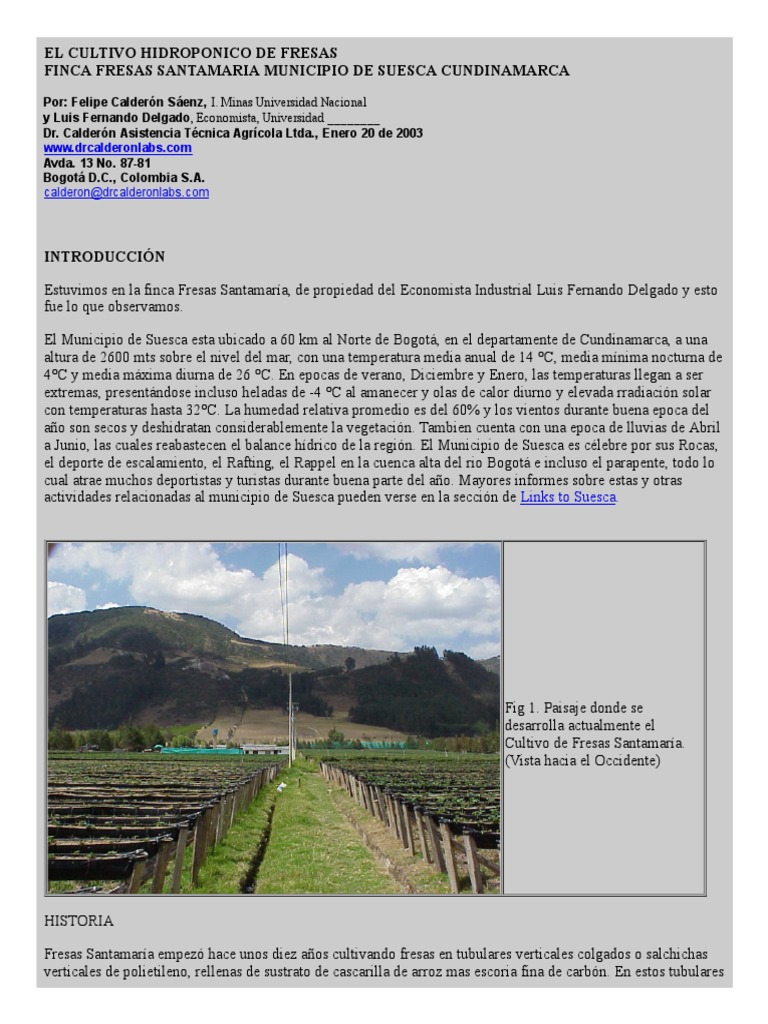 Hidroponico Pdf