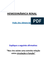 Hemodinamica Renal
