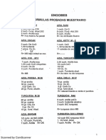 Engobes pdf-2