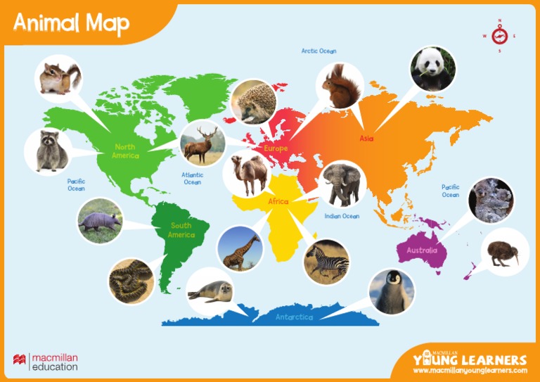 Global Animal Map Overview | PDF | Media Technology | Graphic Design