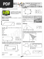 perimetro_e_area_de_figuras_planas_I.pdf