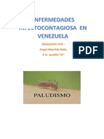 Definicion Del Paludismo