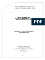 Materia Prima Trigo.pdf
