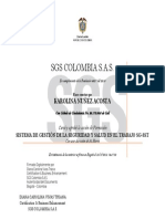 Certificado de Karolina Nuñez Acosta