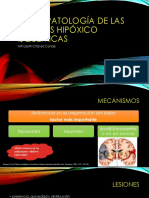 5 Neuropatología de Las Lesiones Hipóxico Isquémicas