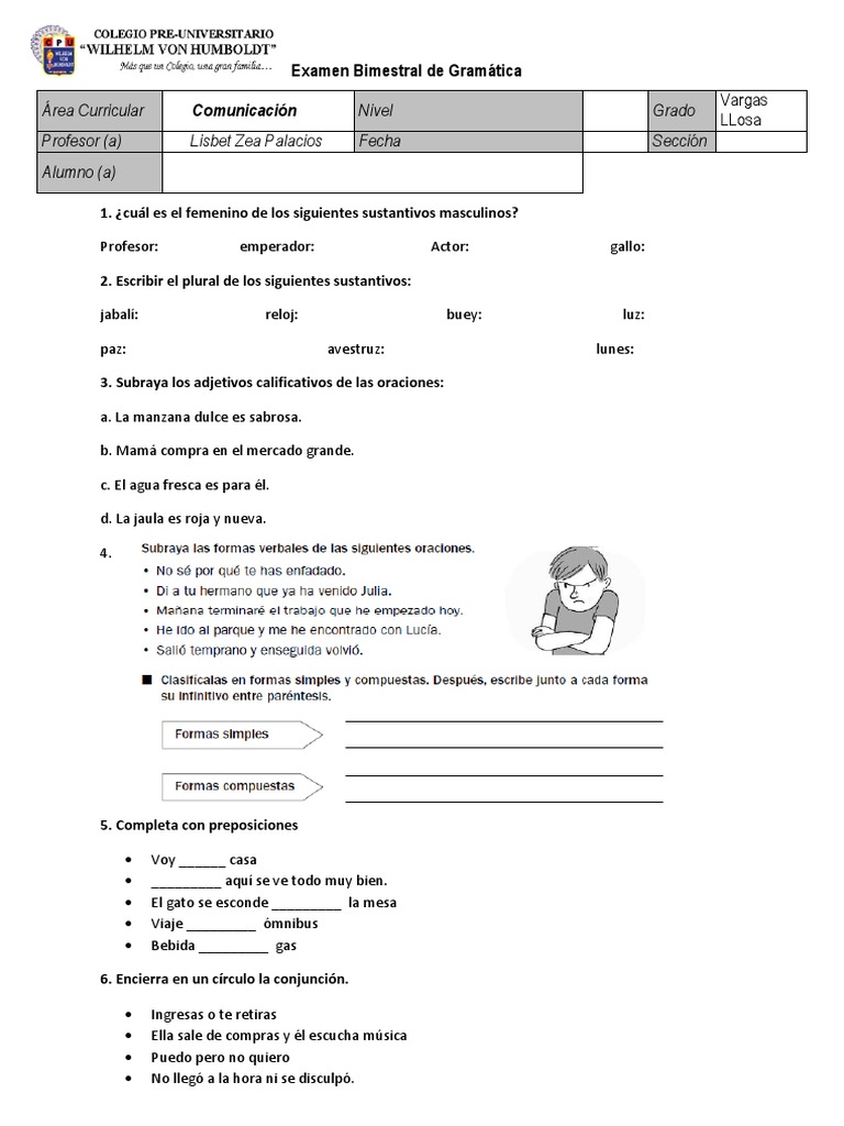 Examen Bimestral de Gramática | PDF | Hormiga | Colmena