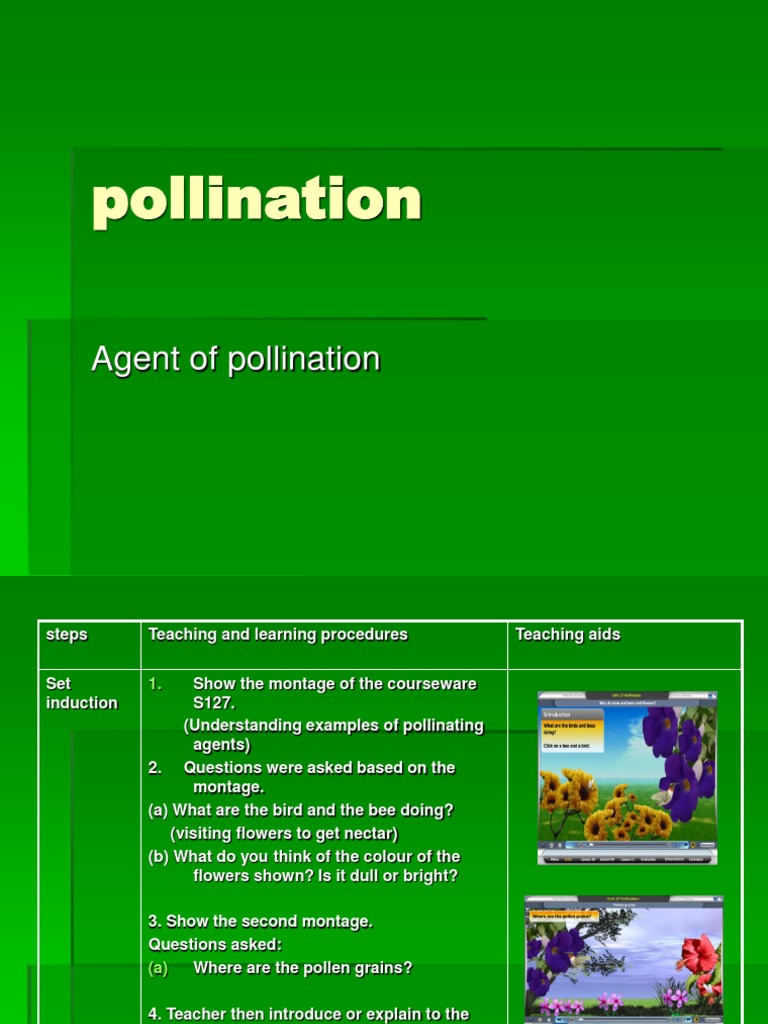 Pollination | PDF