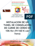 Instalación túnel congelación cerdo