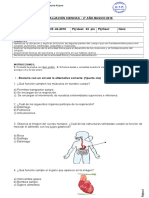 Prueba Funcion de Los Organos